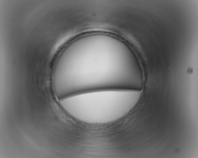X0000114141360200910081016