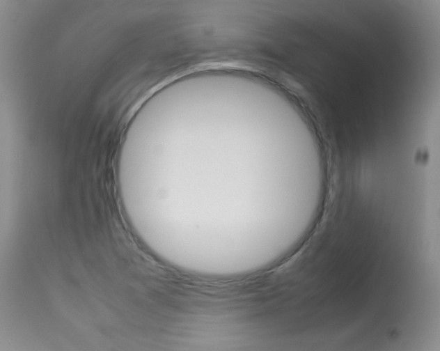 X0000114141361200910081016