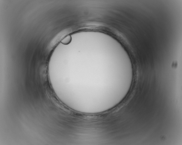 X0000114141362200910081016