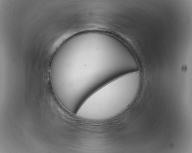 X0000114141363200910081016