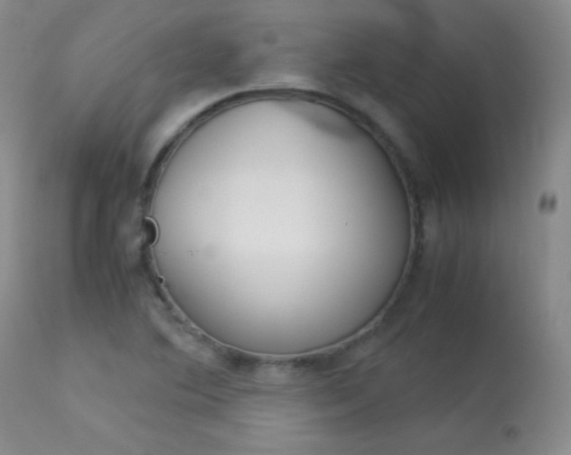 X0000114141364200910081016