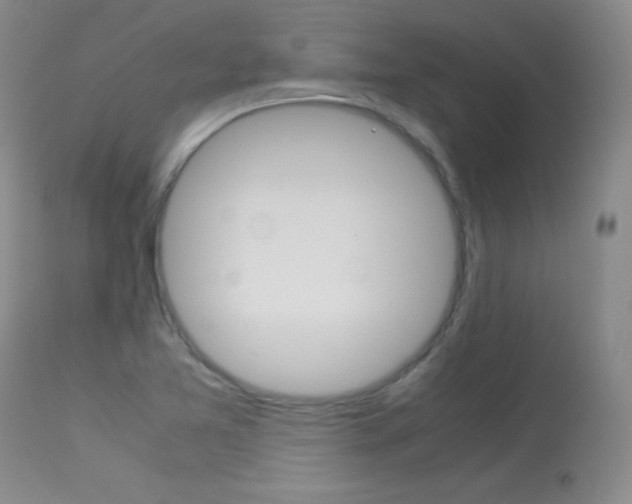 X0000114141365200910081016