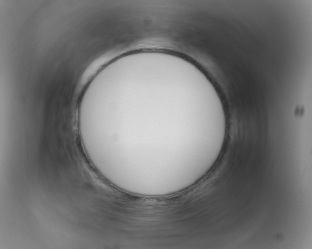 X0000114141366200910081016