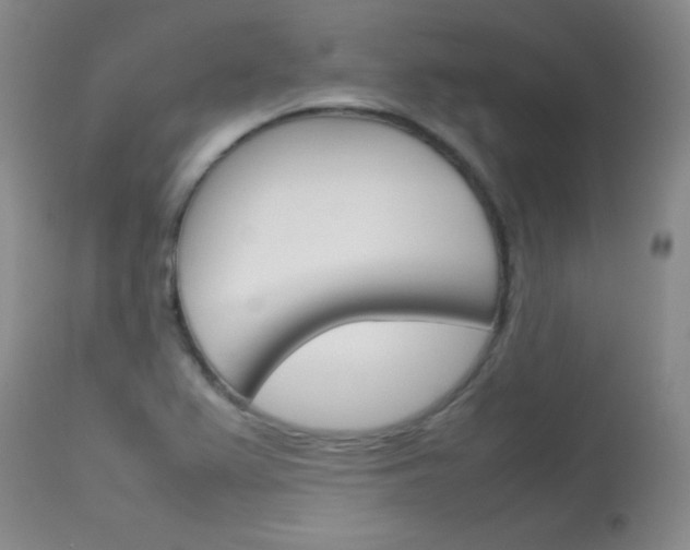 X0000114141367200910081016