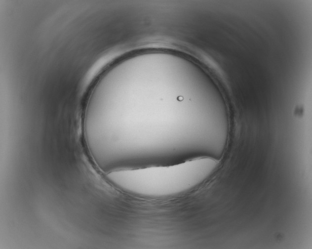 X0000114141368200910081016