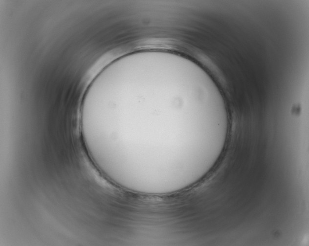 X0000114141370200910081016