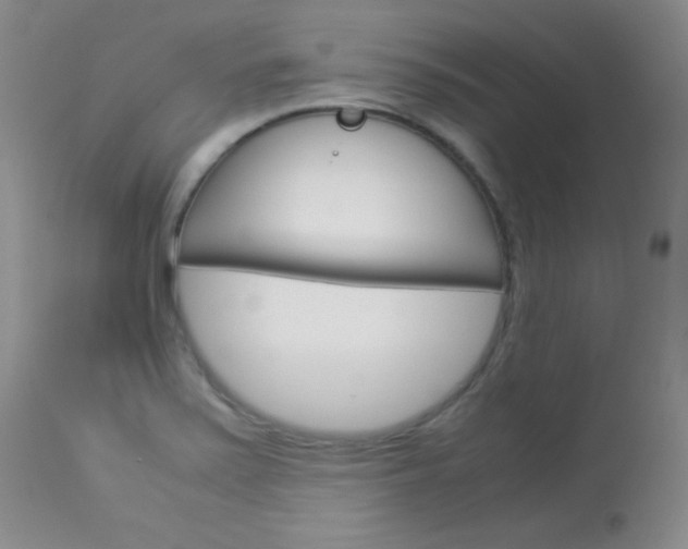 X0000114141371200910081016