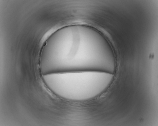 X0000114141373200910081016
