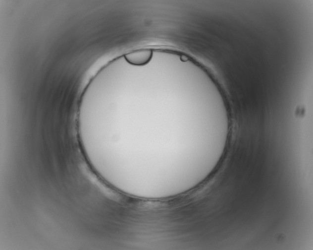 X0000114141374200910081016