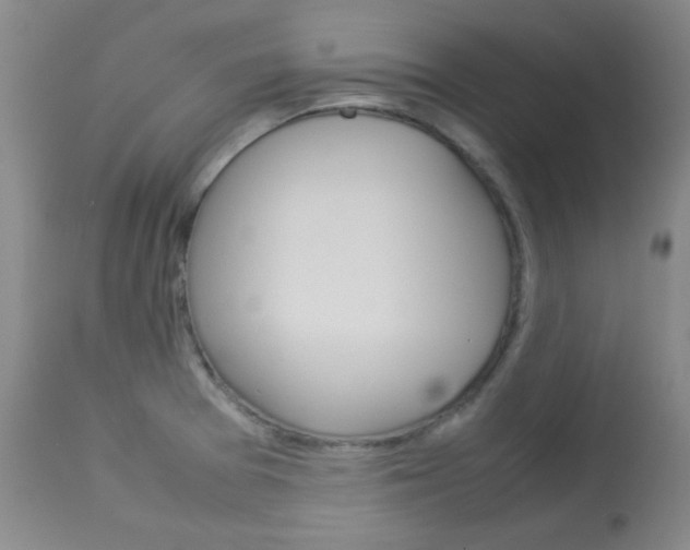 X0000114141377200910081016