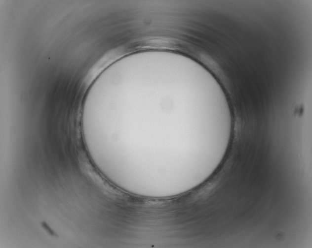 X0000114141378200910081016