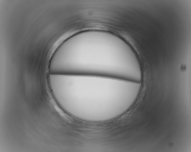 X0000114141379200910081016