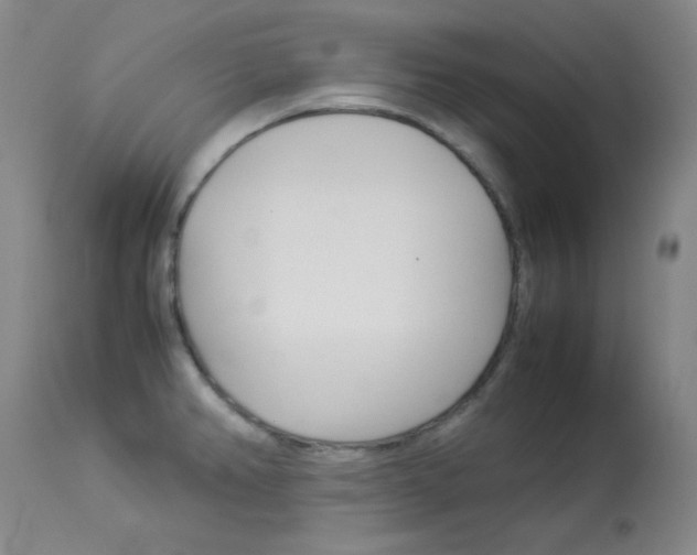 X0000114141382200910081016