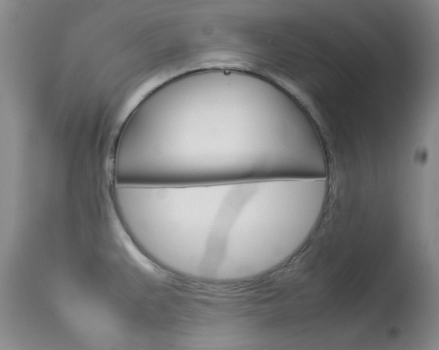 X0000114141383200910081016