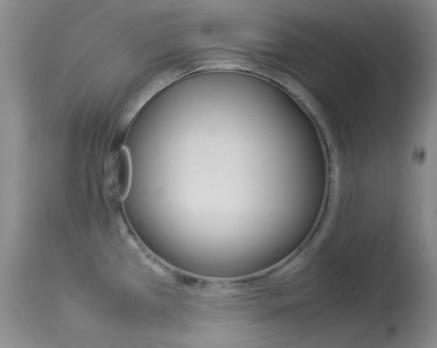X0000114141385200910081016