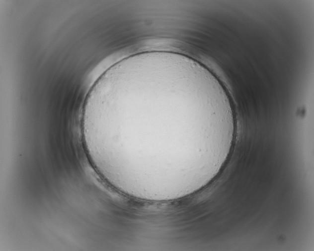 X0000114141386200910081016