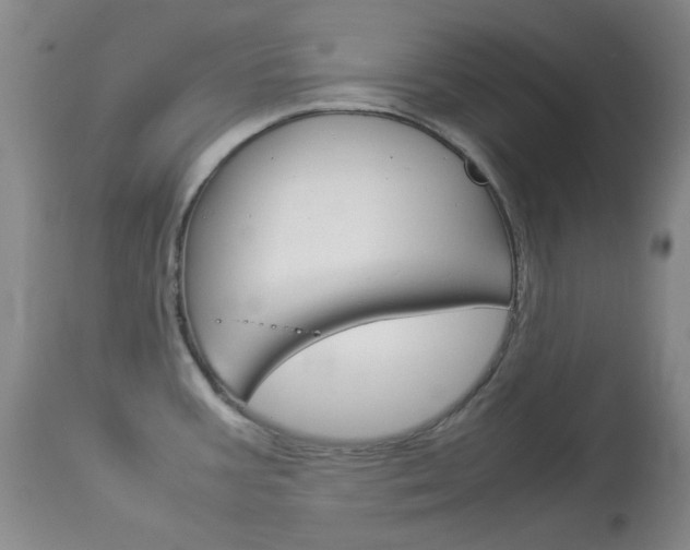 X0000114141387200910081016