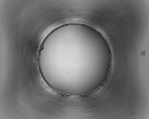 X0000114141392200910081016