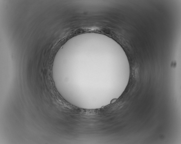 X0000114141393200910081015