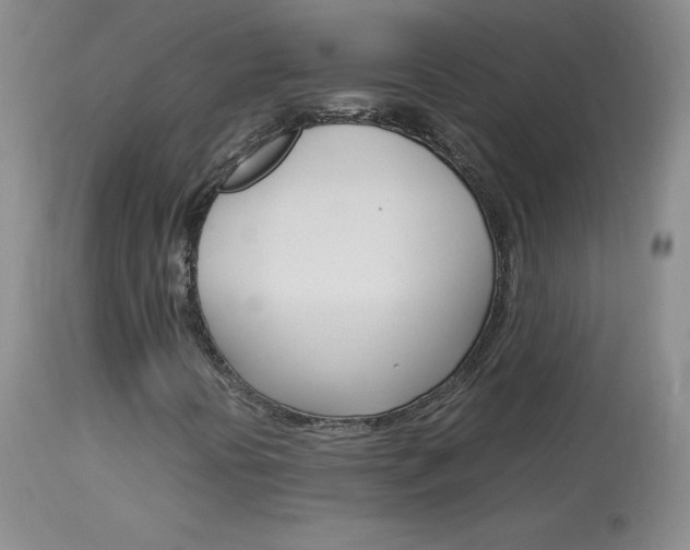 X0000114141394200910081015