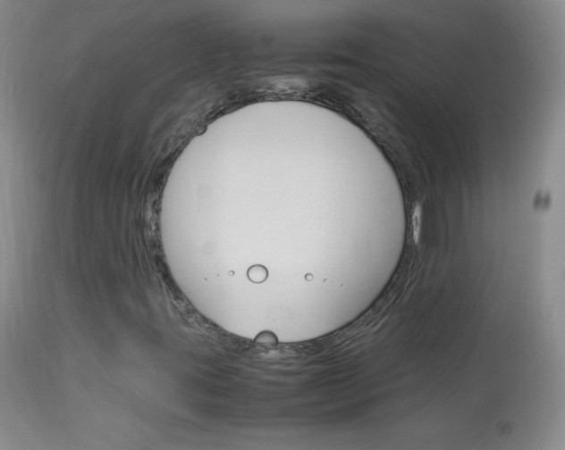 X0000114141395200910081015