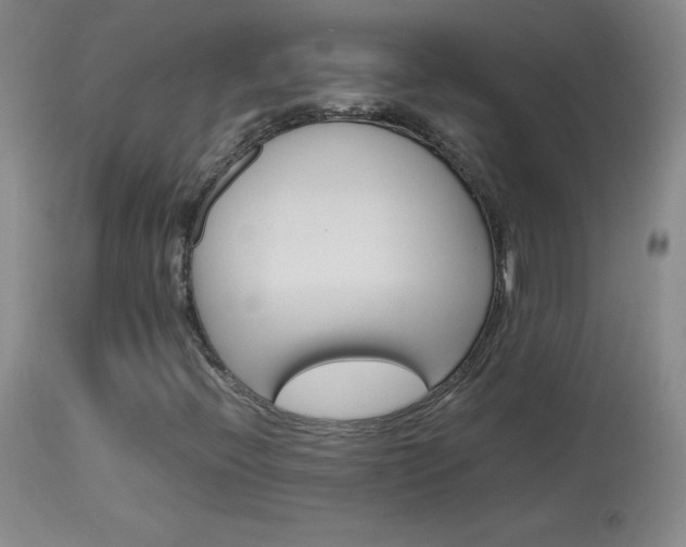 X0000114141396200910081015