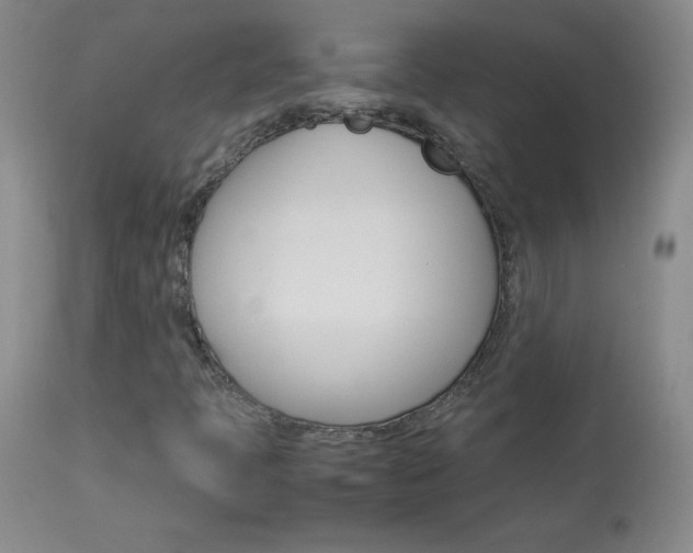 X0000114141397200910081015