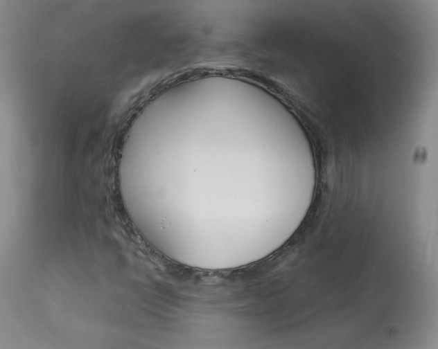 X0000114141398200910081015