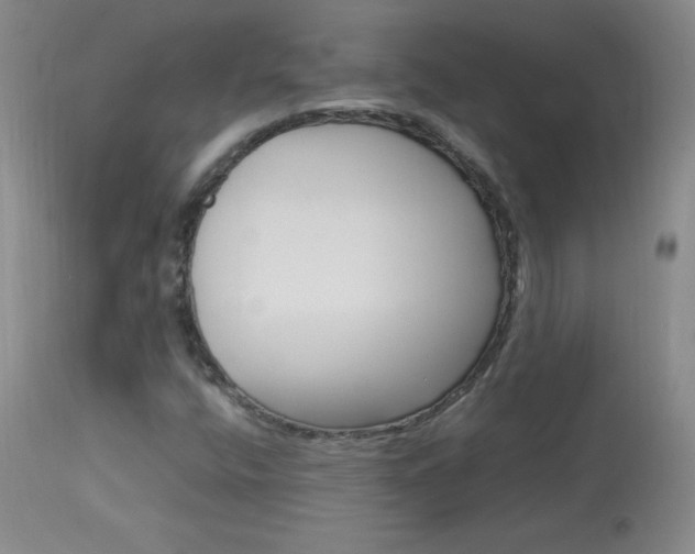 X0000114141400200910081015