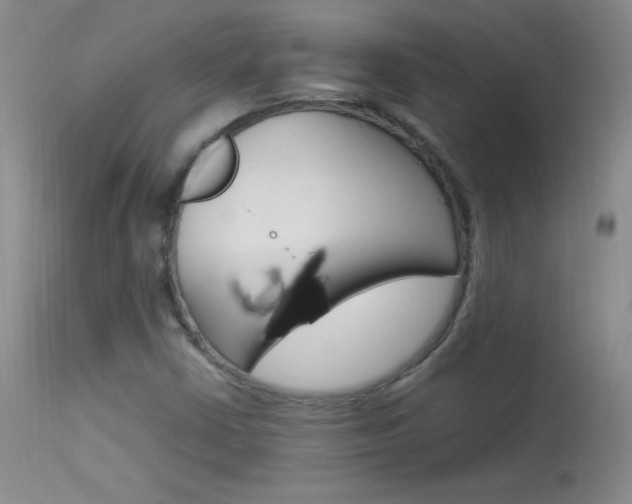 X0000114141402200910081015