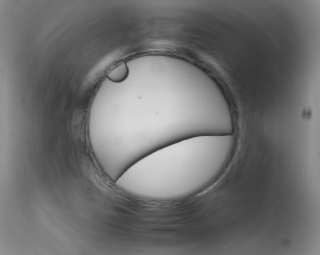 X0000114141403200910081015