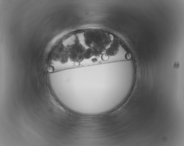X0000114141406200910081015