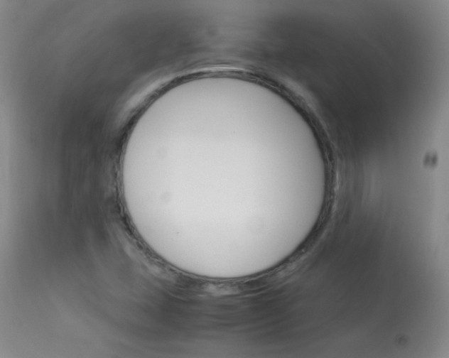 X0000114141407200910081015