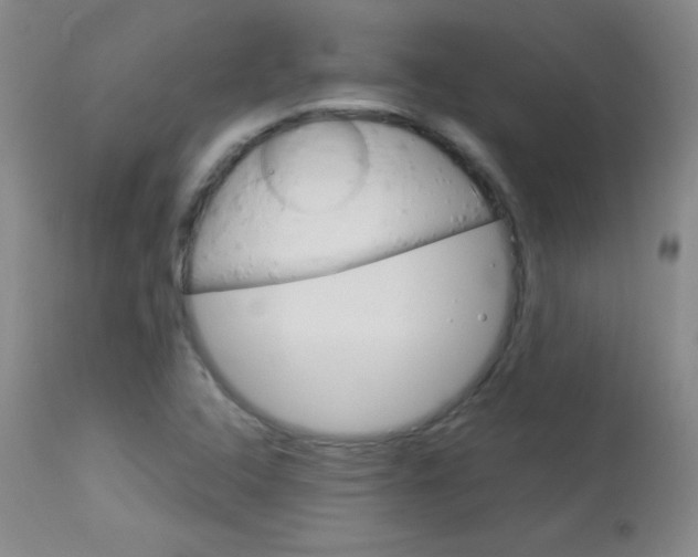 X0000114141408200910081015