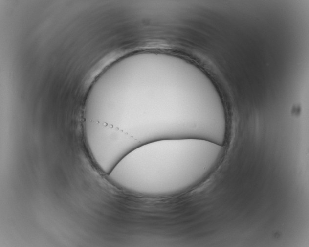 X0000114141409200910081015