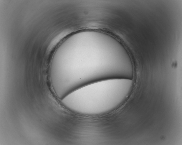 X0000114141410200910081015