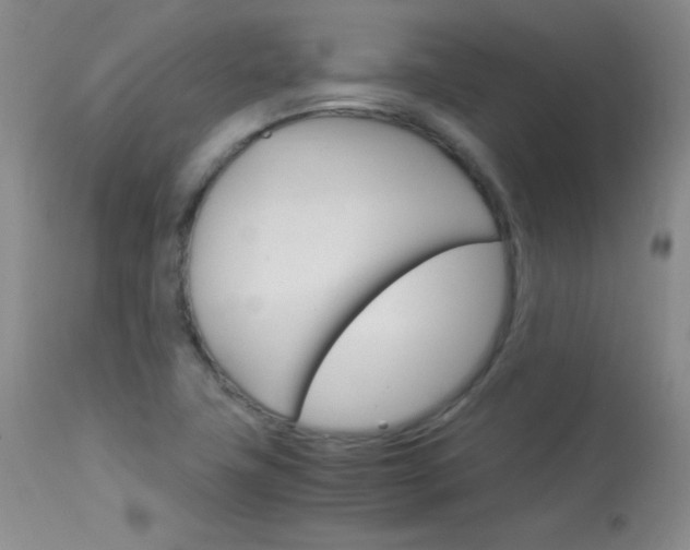 X0000114141411200910081015