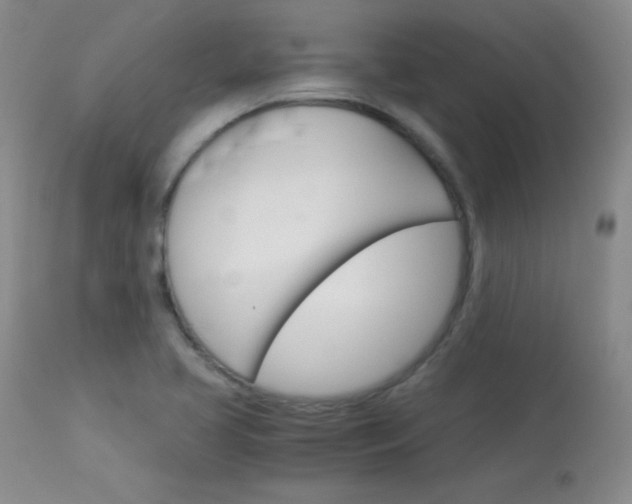 X0000114141413200910081015