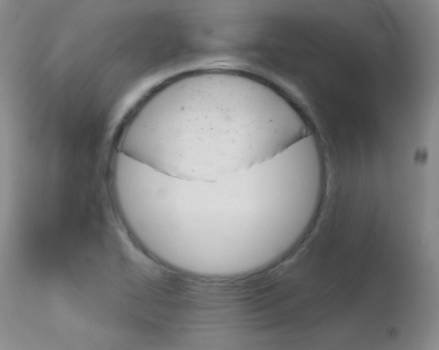 X0000114141414200910081015