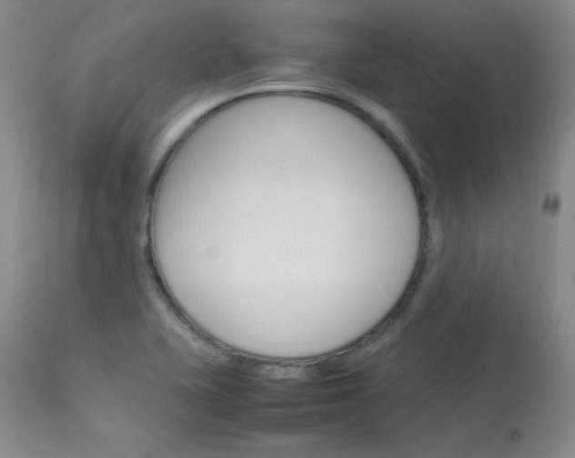 X0000114141415200910081015