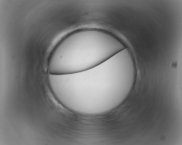 X0000114141416200910081015