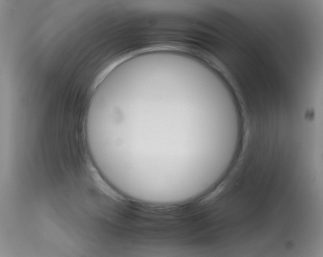 X0000114141417200910081015