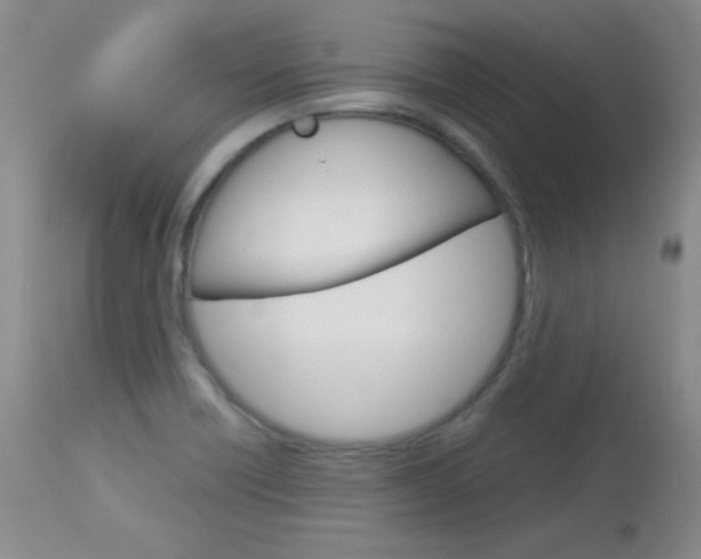 X0000114141418200910081015