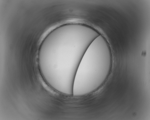 X0000114141421200910081015