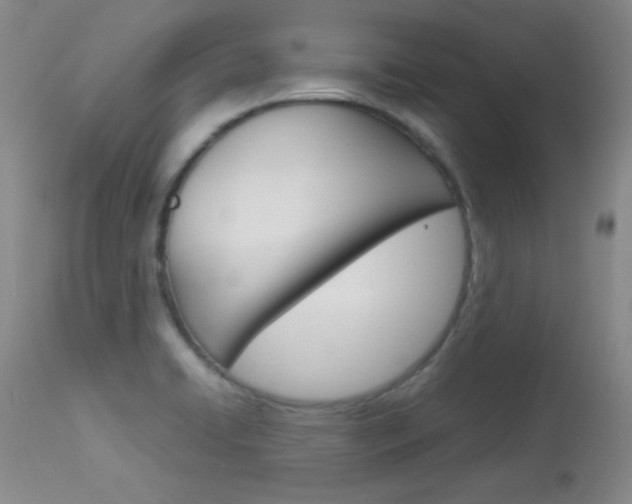 X0000114141422200910081015