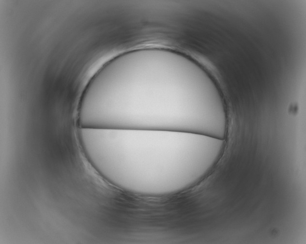 X0000114141423200910081015