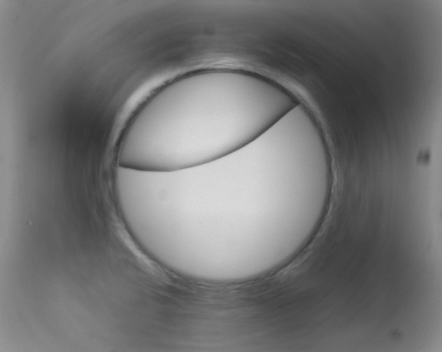 X0000114141424200910081015