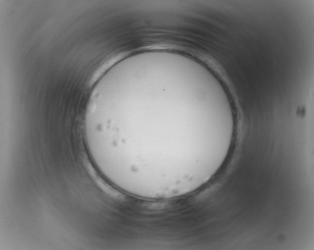 X0000114141425200910081015