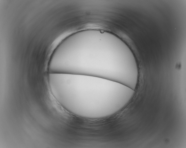 X0000114141427200910081015
