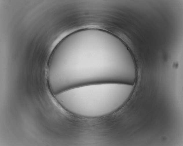 X0000114141428200910081015